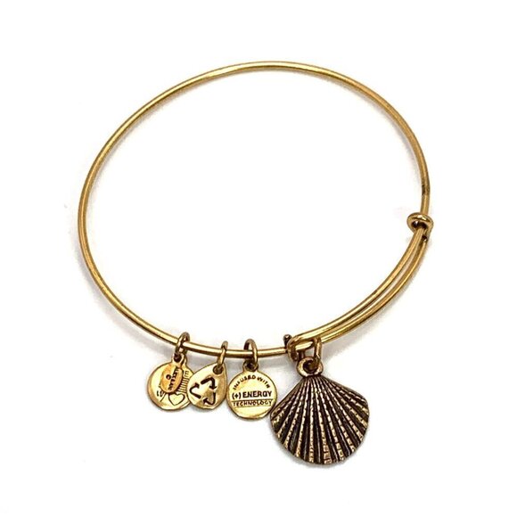 Alex and Ani Seashell Charm Bracelet Silver Gold Finish - Expands 2"- 3.5" - Picture 2 of 4